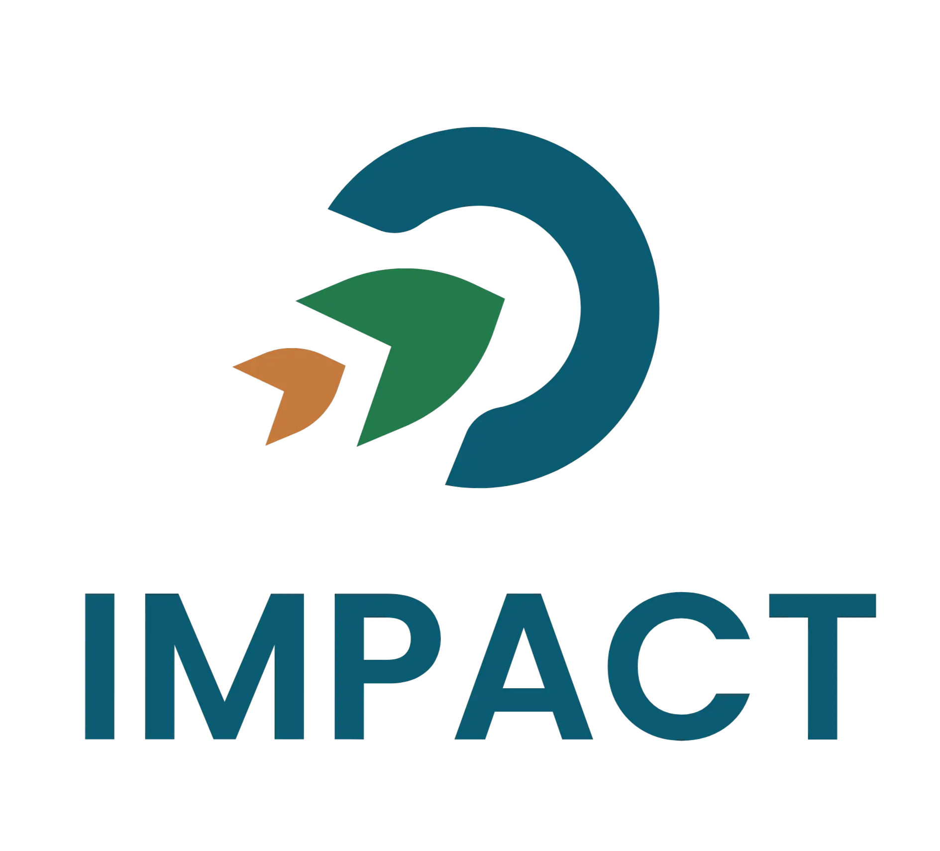 Logo du projet IMPACT